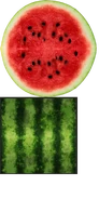 The Melon's texture. (Flesh)