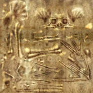 The Skeleton's texture
