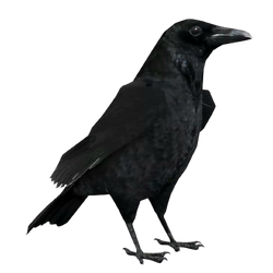 Crow, Granny 3 Wiki