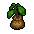 Tree apple seedling item