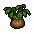 Bush berry seedling item