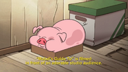 Short11 Waddles sleeping