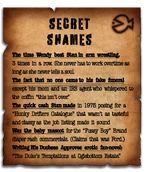 SECRET SHAMES