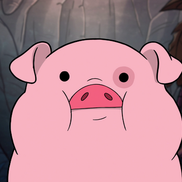 Waddles Gravity Falls Wiki Fandom