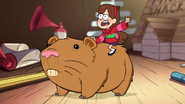 Mabel riding a hamster.