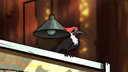 S2e20 woodpecker lands