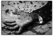 Tinawstodehttcennoc11