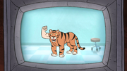 S1e4 full tiger image