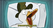 S2e13 Terrified Quack