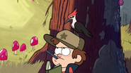 S1e1 woodpecker on dipper's head