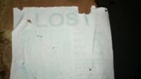 Water damaged lost poster clue