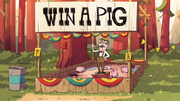 Mystery Rummel win a pig