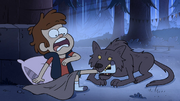 S1e16 dipper wolf attack