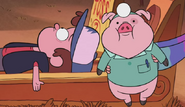 S1e9 Doctor Waddles