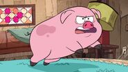 S1e16 Dipper pig mad