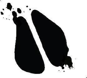 персонажи гравити фолз свинка. Смотреть фото персонажи гравити фолз свинка. Смотреть картинку персонажи гравити фолз свинка. Картинка про персонажи гравити фолз свинка. Фото персонажи гравити фолз свинка персонажи гравити фолз свинка. Смотреть фото персонажи гравити фолз свинка. Смотреть картинку персонажи гравити фолз свинка. Картинка про персонажи гравити фолз свинка. Фото персонажи гравити фолз свинка