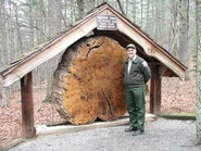 "Reading that book's giving me a headache. Going to clear my head by counting tree rings. Will investigate more soon!" ("that book" refers to Journal 3)