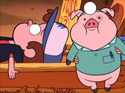 Dr. Waddles