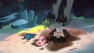 S1e18 Stan and Waddles duck