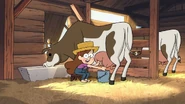 Short11 Milking a cow