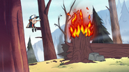 S1e10 dipper climbs tree