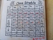 Tracey's Clone Schedule for him and Quattro