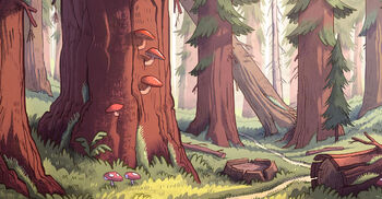 Gravity falls forest