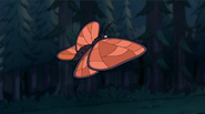 S1e11 huge butterfly