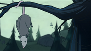 S1e2 opossum on scuttlebutt island