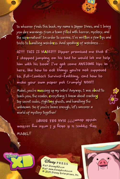 Dipper's and Mabel's Guide to Mystery and Nonstop Fun!/Gallery