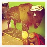 Tobias 1.jpg (106 KB)