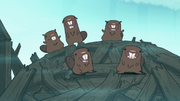 S1e2 beavers