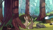S1e6 rabbits in forest