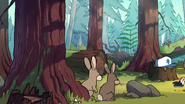 S1e6 rabbits in forest