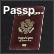 Tourist Passport