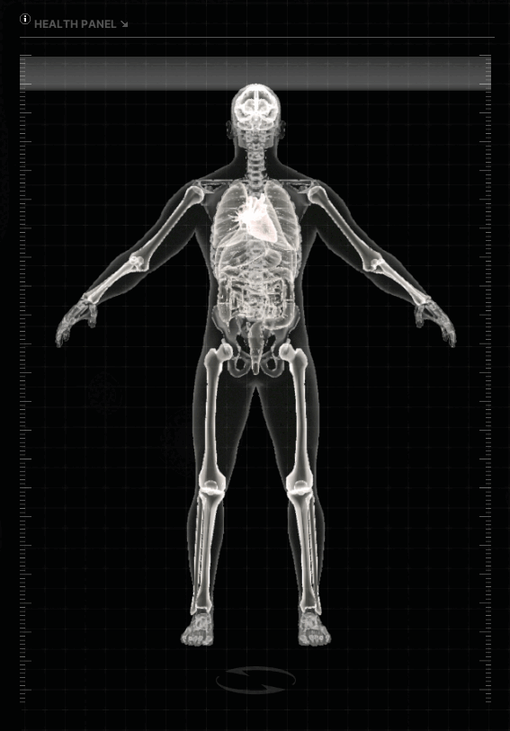 Health system | Gray Zone Warfare Wiki | Fandom