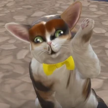 Spleens Grayandspleens Wiki Fandom