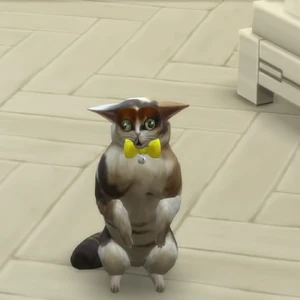 Spleens Grayandspleens Wiki Fandom