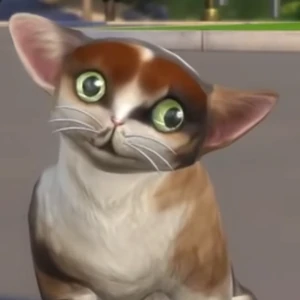 Spleens Grayandspleens Wiki Fandom