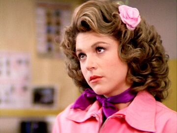 Marty grease wig best sale