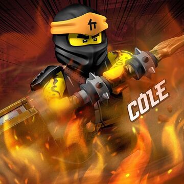 Ninjago cool deals