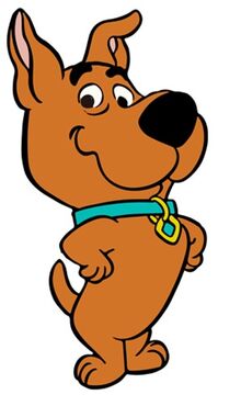 Scrappy 1980-1988.jpg