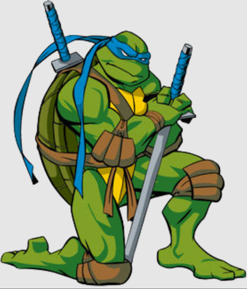 Teenage Mutant Ninja Turtles, The Cartoon Network Wiki