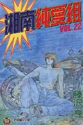 Cover of SJG - Volume 22