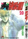 Cover of SJG - Volume 20