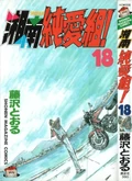 Cover of SJG - Volume 18