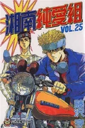 Cover of SJG - Volume 25