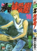 Cover of SJG - Volume 16