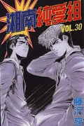 Cover of SJG - Volume 30