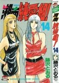 Cover of SJG - Volume 14